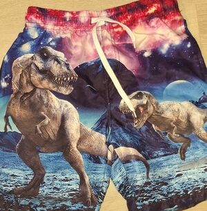 Source Unknown Kids Swim Trunks - Blue & Pink Dinosaur Galaxy